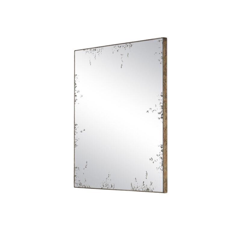 Ren Decorative Mirrors by Currey and Company